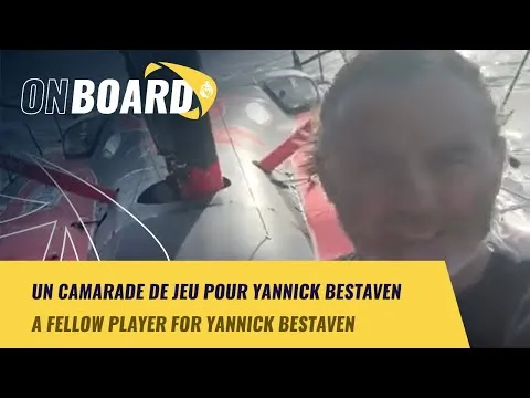 Un camarade de jeu pour Yannick Bestaven | New York Vendée 2024